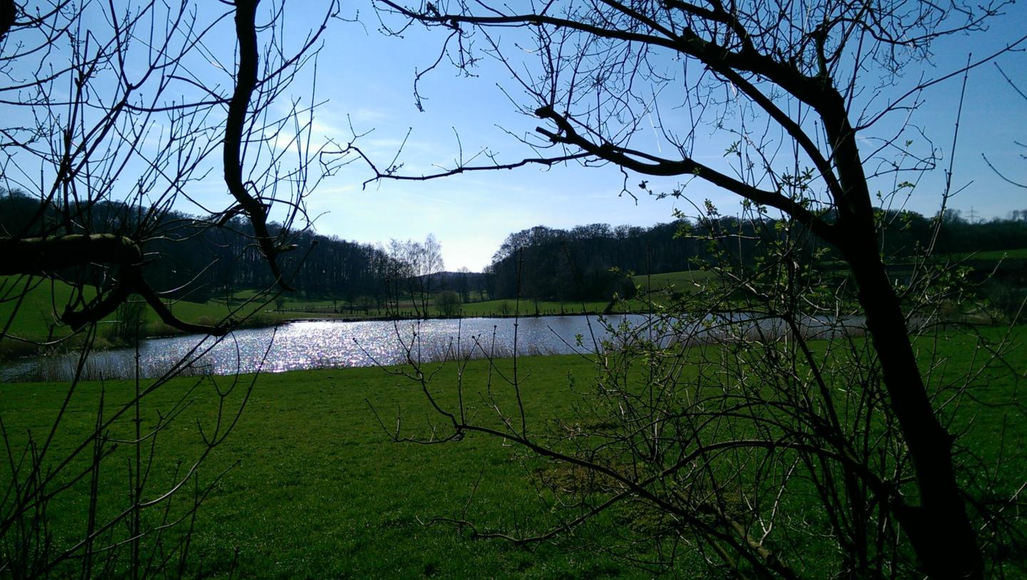 Rotthäuser Bachtal 2 (c) B. Kaesmacher